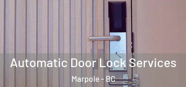 Automatic Door Lock Services Marpole - BC