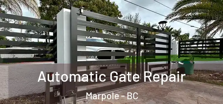 Automatic Gate Repair Marpole - BC