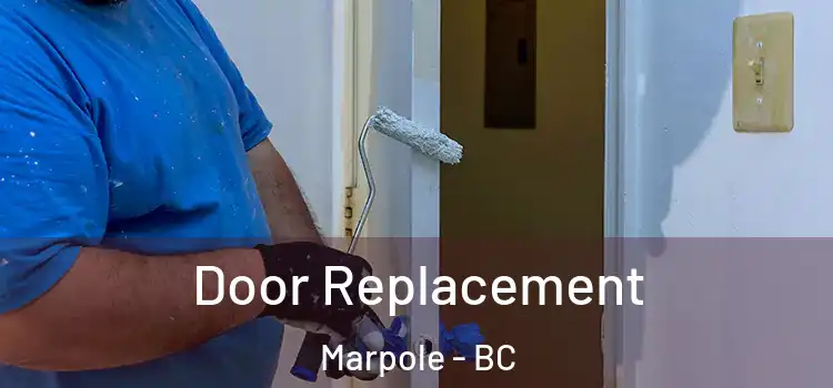  Door Replacement Marpole - BC