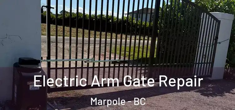 Electric Arm Gate Repair Marpole - BC