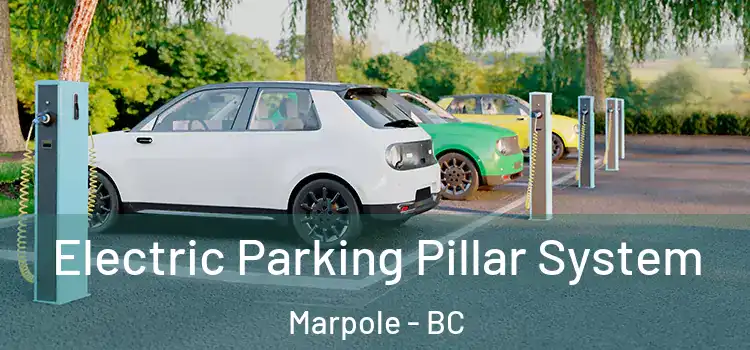  Electric Parking Pillar System Marpole - BC
