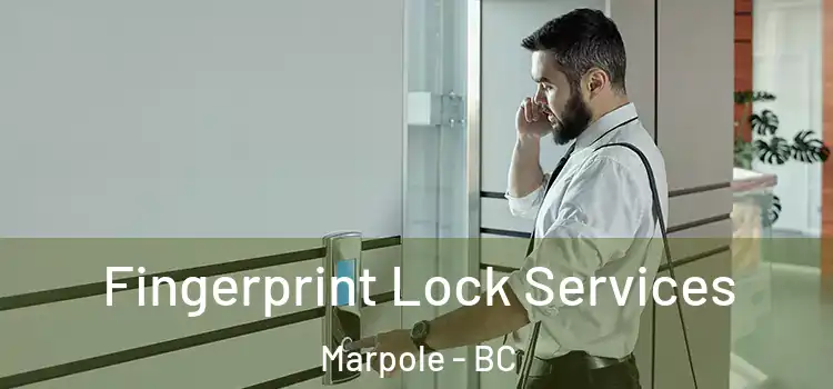 Fingerprint Lock Services Marpole - BC