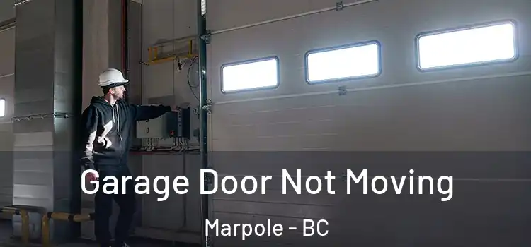  Garage Door Not Moving Marpole - BC