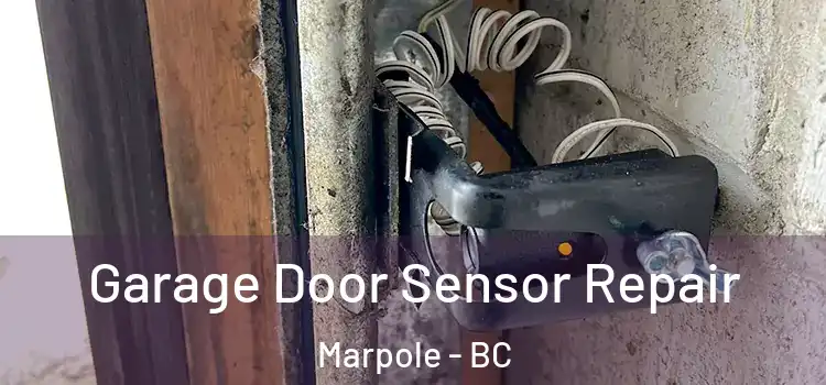Garage Door Sensor Repair Marpole - BC