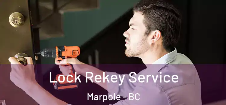  Lock Rekey Service Marpole - BC