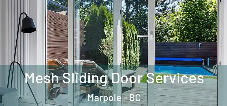 Mesh Sliding Door Services Marpole - BC