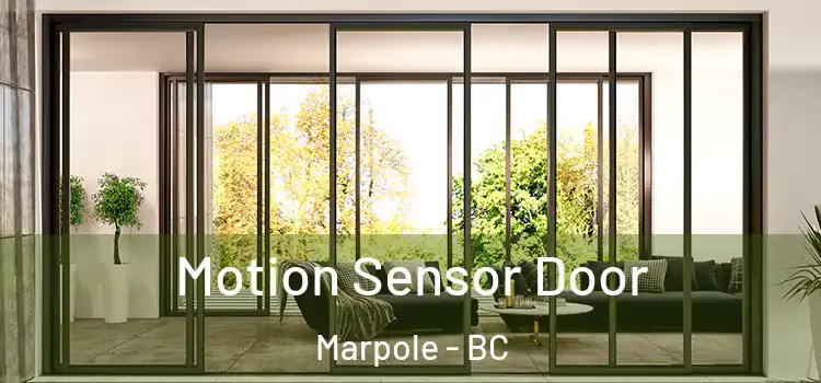 Motion Sensor Door Marpole - BC